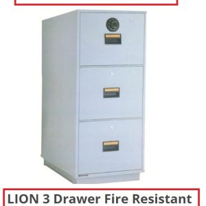 LION FIRE RESISTANT CABINET